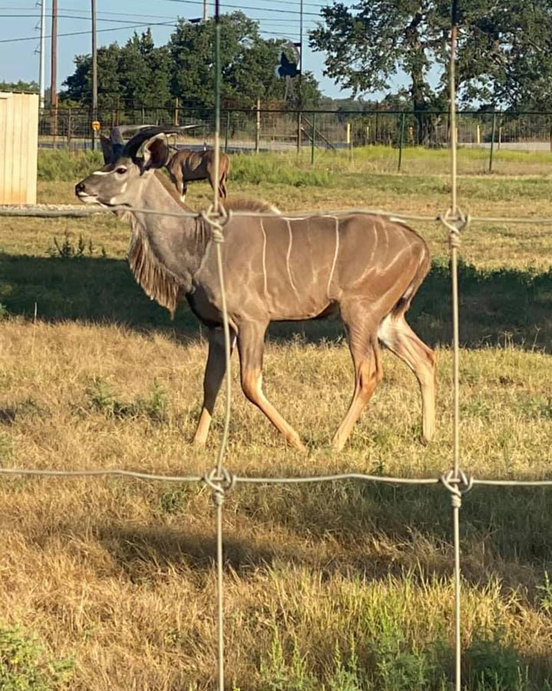 New to High Fence Ranching?